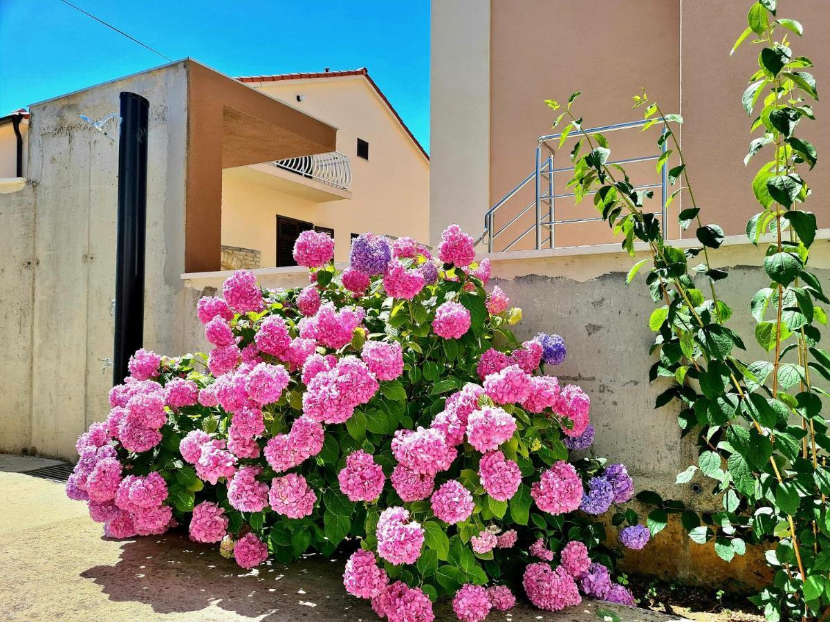 Apartment Ivana Brodarica  Εξωτερικό φωτογραφία